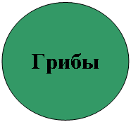 ����: �����

