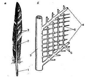 http://sbio.info/images/tmp55-56.jpg