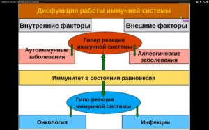типы реакций иммунной системы