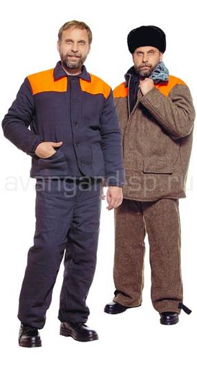 http://www.avangard-sp.ru/images/gen/item_image/image/site0/3/3/253_r3237.jpg