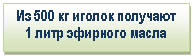 �������: