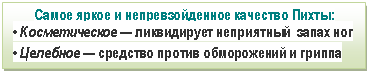 �������: