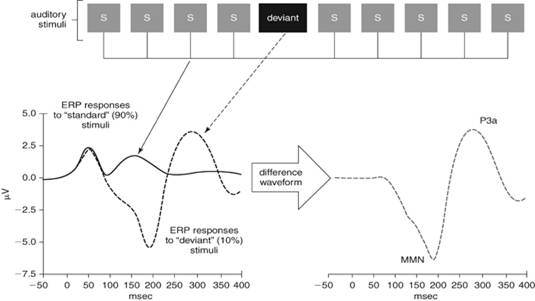 ns0625-fig-0008-1-full.gif