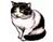 http://refdb.ru/images/1402/2802082/m341ce111.png
