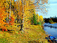 http://www.delfin-tour.ru/pic/karelia/foto_eksk/vihodnye_ozv/vih2_m.jpg