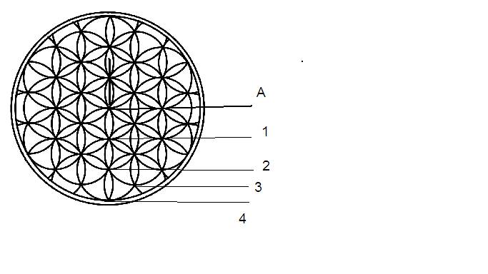 55.bmp