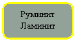 ����������� �������������: ������� �������
