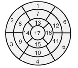 todurov6