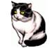 http://refdb.ru/images/1402/2802082/m341ce111.png