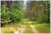 http://img-3.photosight.ru/5d5/3021664_large.jpg