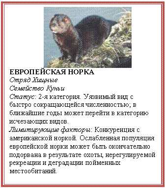 �������: