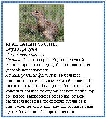 �������: