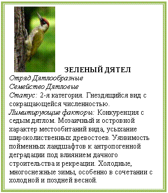�������: