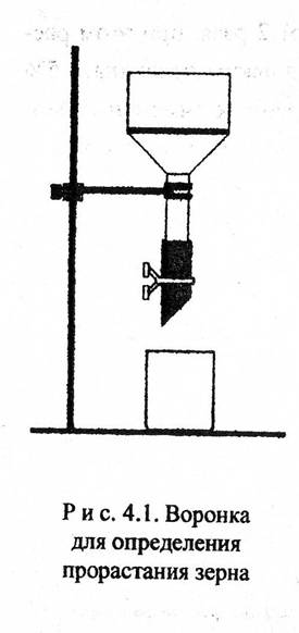 IMAGE0008