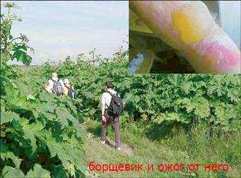 http://v-bezopasnosti.ru/_pu/1/34063428.jpg
