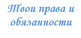 �������: