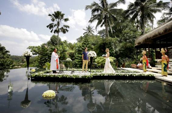 http://www.bali-event.ru/public/files/images/wedding2.jpg