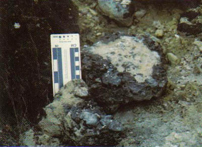 http://ccrussia.org/kartinka/territorii/227-1.jpg