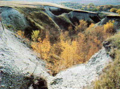 http://ccrussia.org/kartinka/territorii/227-3.jpg
