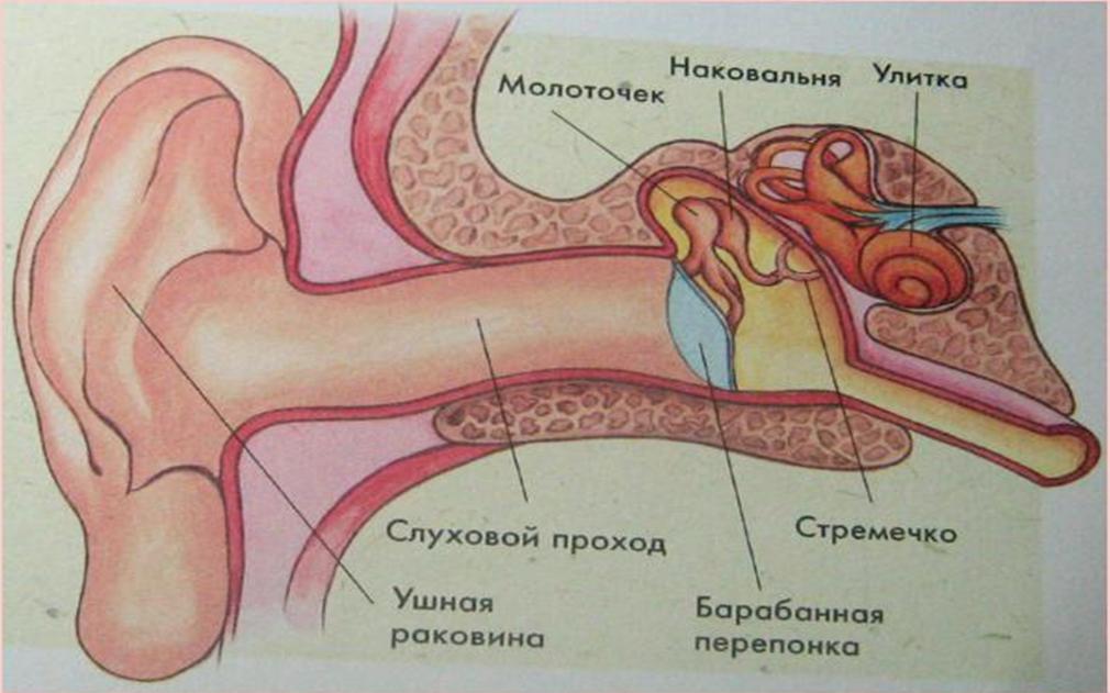 http://freeppt4u.com/u/storage/ppt_13519/11062-1401980553-18.jpg