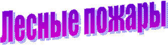 Лесные пожары