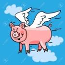 http://previews.123rf.com/images/mirage3/mirage31201/mirage3120100002/11882540-Fun-cartoon-of-a-flying-pig-with-wings-to-represent-the--Stock-Vector.jpg