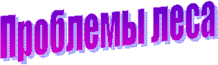Проблемы леса