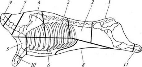 /text/78/016/images/image001_338.jpg