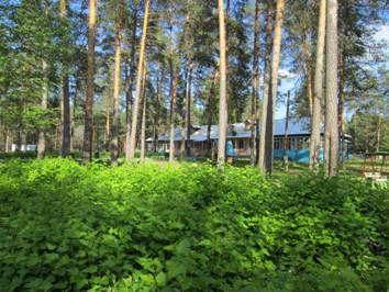 IMG_0005