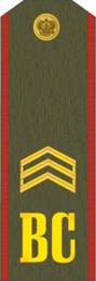 http://www.resy.ru/files/posts/imgs/26/17_serj.jpg