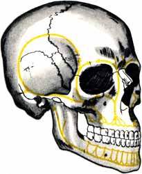 5579135