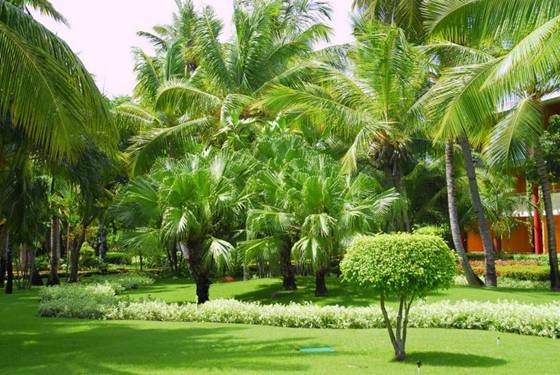 park-santo-d...