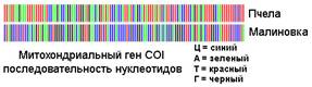 barcode_5.jpg