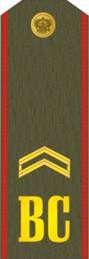 http://www.resy.ru/files/posts/imgs/26/18_ml_serjant.jpg