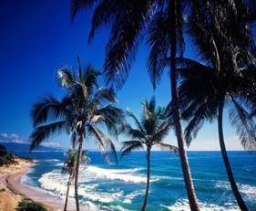 http://cdn.bielousov.com/wp-content/uploads/2014/11/coast-of-paraiso-dominican-republic-960x615.jpg?9a69c9
