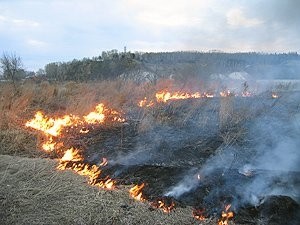http://www.fire.mchs.gov.ru/images/trebPBEDom4.jpg