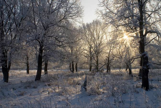 http://www.wanders-k.ru/sites/default/files/dubrava_malcevo5.jpg