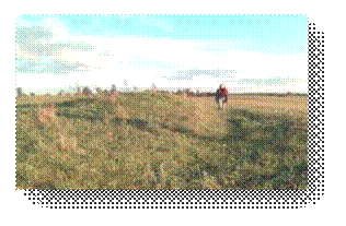 070908_190040