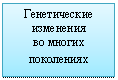 �������: