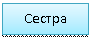 �������: ������