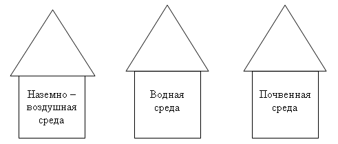 img1.gif (3375 bytes)