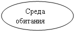 ����: ����� ��������



