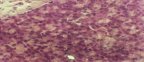 C:\Documents and Settings\Anton\������� ����\��������\Scan10059.JPG