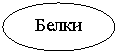 ����: �����