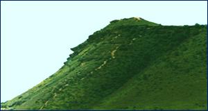0_9d325_30298c5b_XL.jpeg