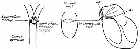http://www.serdechno.ru/pics/708_598449455.jpg