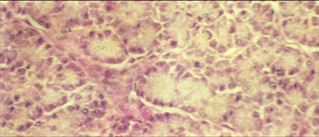 C:\Documents and Settings\Anton\������� ����\��������\Scan10022.JPG