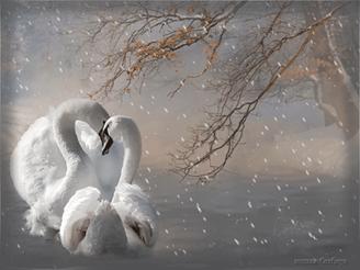 http://www.chitalnya.ru/upload2/683/bc6d36a8d22edf9664fd4b8e3af7b6be.gif