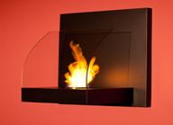 C:\Documents and Settings\vicna\��� ���������\2011\GERMANY_Premi_2011\Logo_n_Photo\kamin AF-11C\IMG_0016_1_mini.jpg