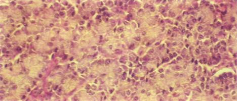 C:\Documents and Settings\Anton\������� ����\��������\Scan10021.JPG